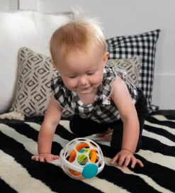 Baby Einstein Aktivitetslegetøj - Roxys Gyroskop