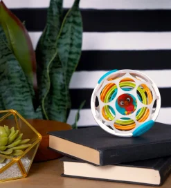 Baby Einstein Aktivitetslegetøj - Roxys Gyroskop