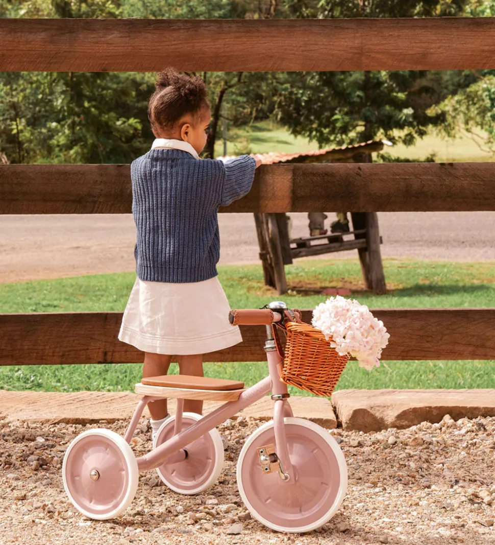 Banwood Trehjulet Cykel - Trike - 3-6 År - Dustypink