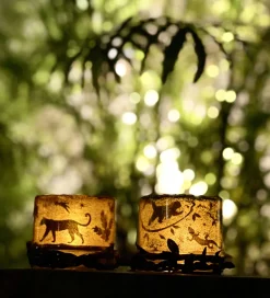 BOX CANDIY Kreasæt - Natlampe Glassæt - Totally Twilight Rainfor