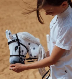 by ASTRUP Kæphest - 68 cm - Plettet