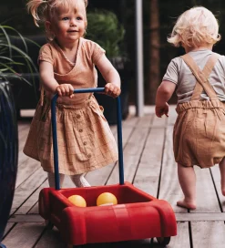 Dantoy Classic Gåvogn - 45x48 cm - Rød