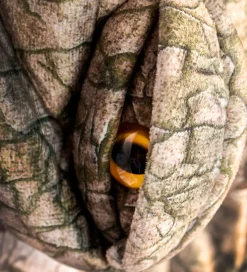 Den Goda Fen Udklædning - Spinosaur - Heldragt