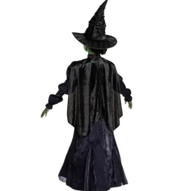 Disguise Udklædning - Wicked - Elphaba