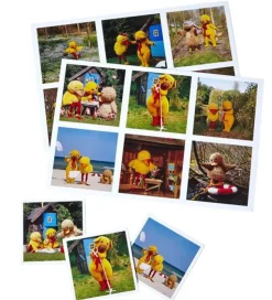 DR Billedlotteri - Bamse og Kylling - 6 Plader+36 Brikker