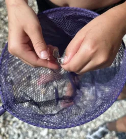 Follow the Duck Net - Telescopic Net - Dark Purple