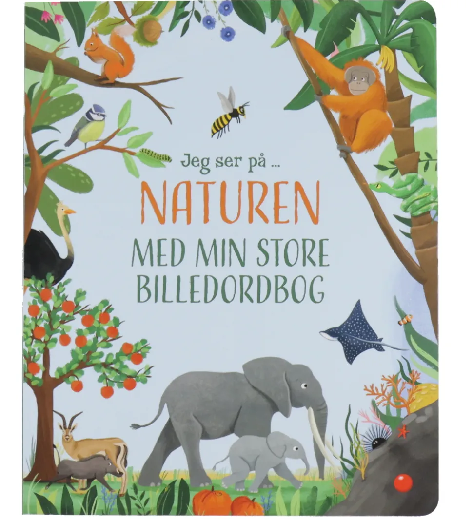 Forlaget Bolden Billedbog - Jeg Ser På Naturen - Dansk
