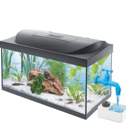 4M - Green Science - Magisk Vandhane