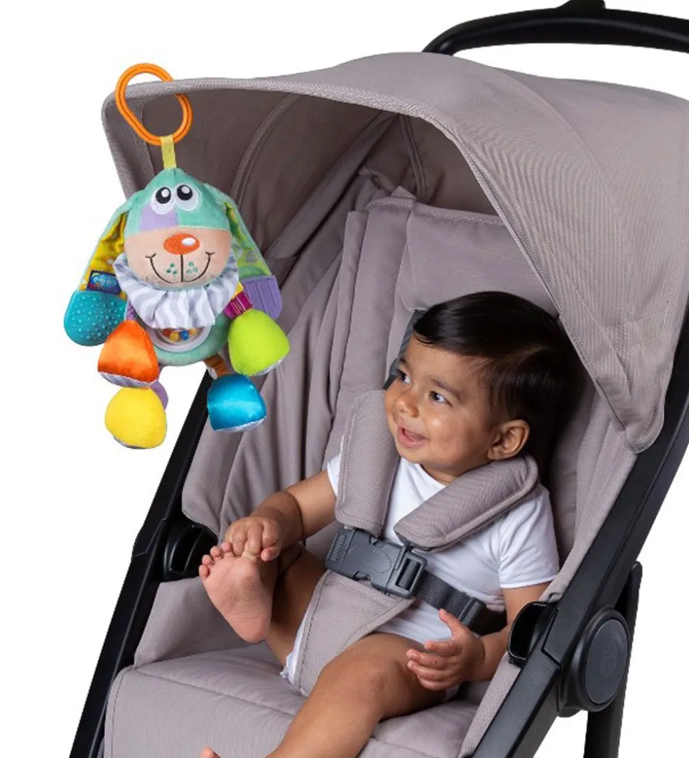 Playgro Aktivitetslegetøj - Hund - Blå