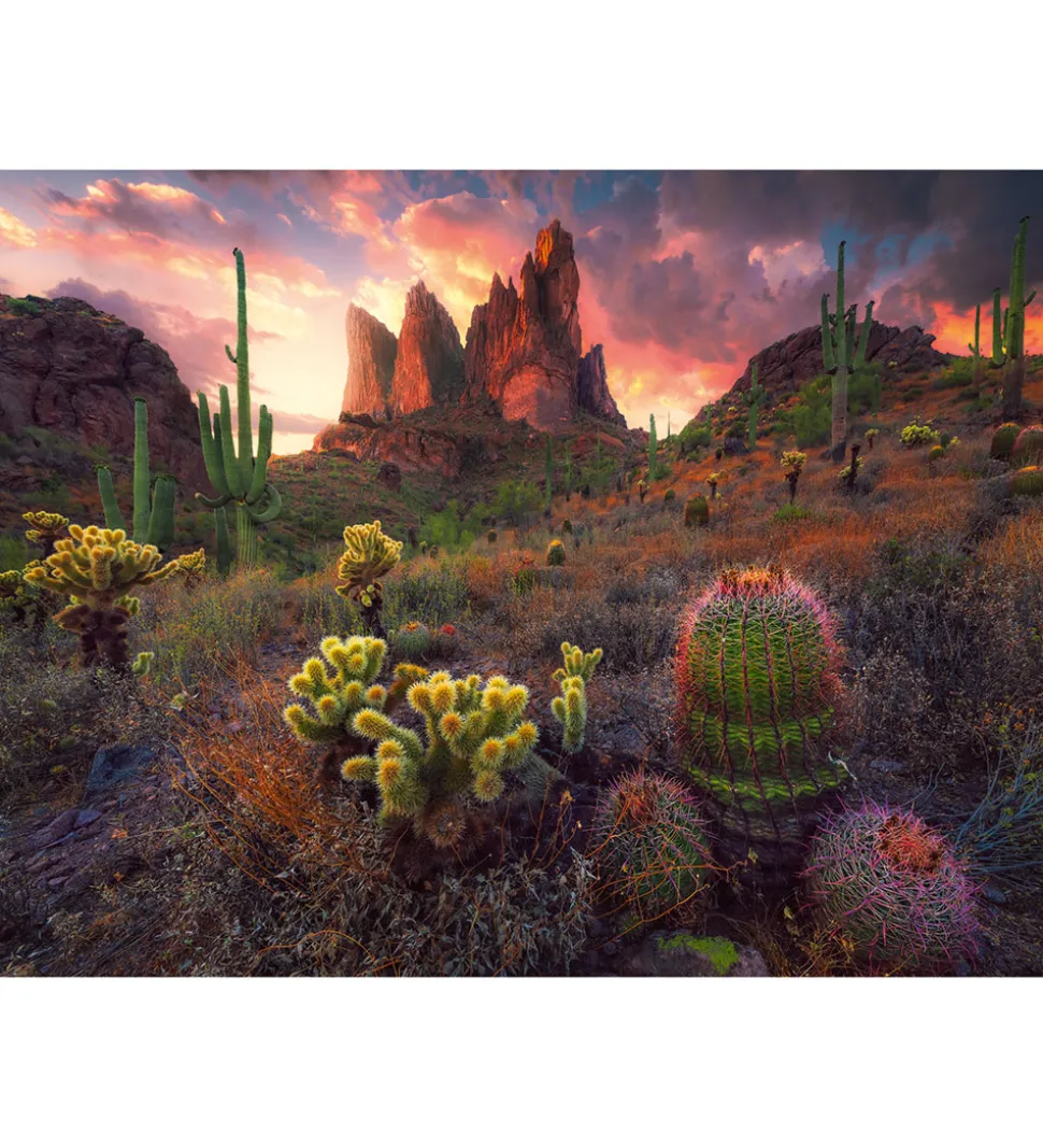 Ravensburger Puslespil - 500 Brikker - Spikes