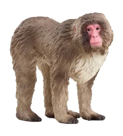 Schleich Wild Life - Japansk Makak-abe - H: 6,9 cm - 14871