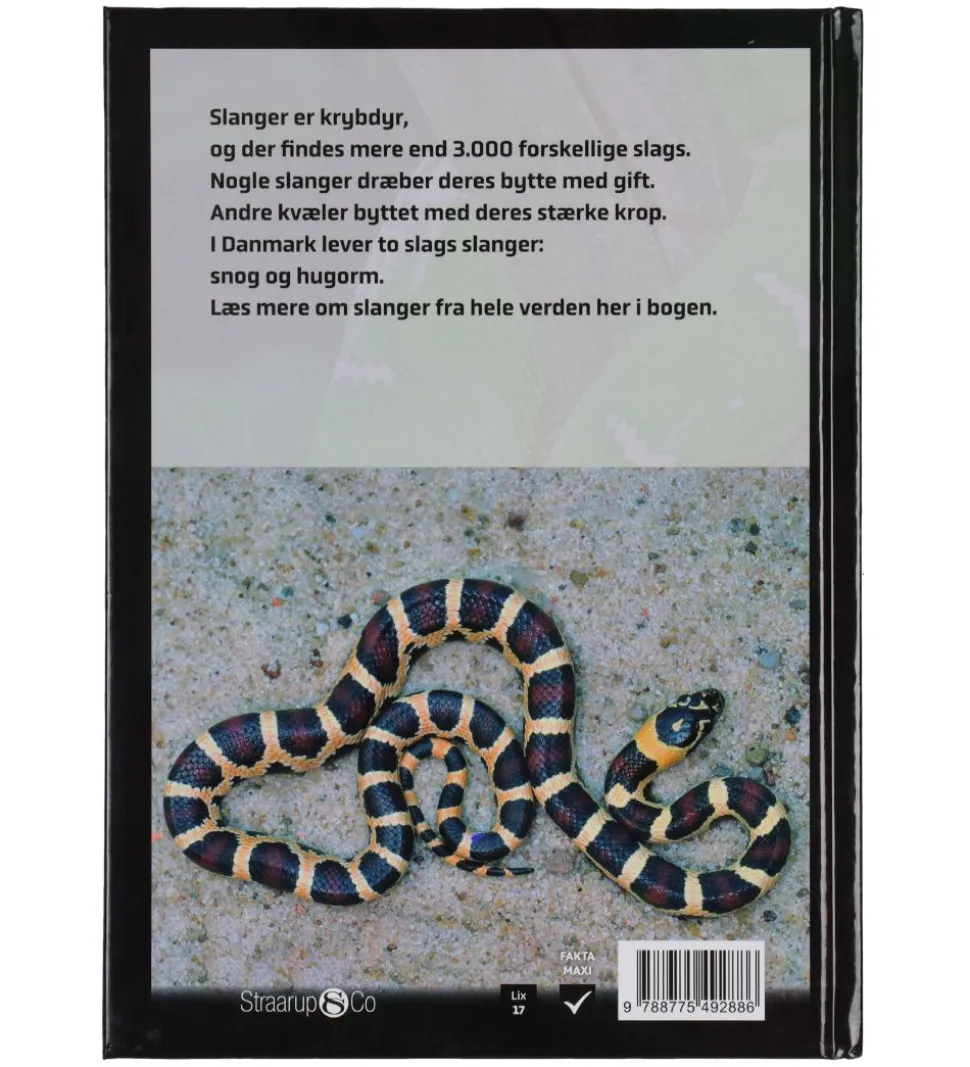 Straarup & Co Sampak - Spil & Læs - Slanger