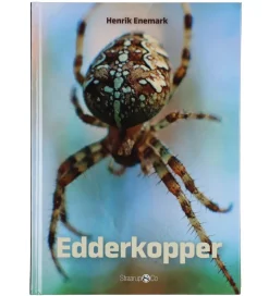 Straarup & Co Sampak - Spil & Læs - Edderkopper