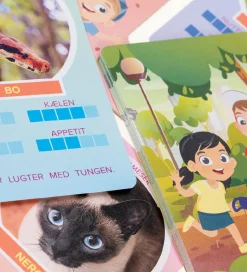 TACTIC Kortspil - Lær Om At Læse - Dansk