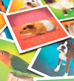 TACTIC Vendespil - Kæledyr