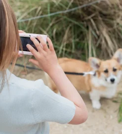 The Zoofamily Kamera - Urban Zoo - Enhjørning